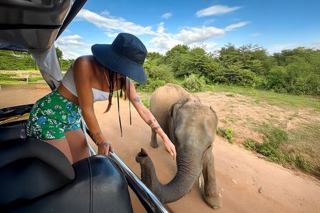 Yala National Park Shared Safari Tour Morning Evening & Full Day 