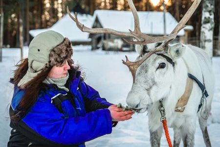 Reindeer Safari at a 200-Year-Old Rovaniemi Farm & Long Sled Ride