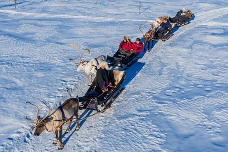 Reindeer Safari at a 200-Year-Old Rovaniemi Farm & Long Sled Ride