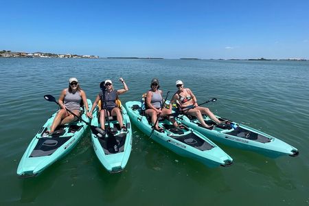 Luxury Single Kayak Tour To An Island Off Clearwater Beach!