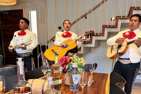 Experience of Tequila and Mezcal 