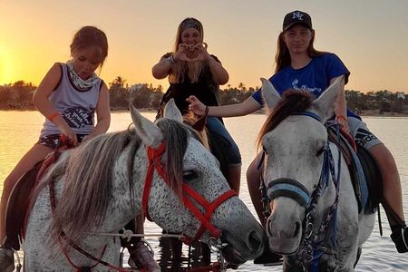 Crossing the Lagoon DE Djerba on Horseback an unforgettable breakaway