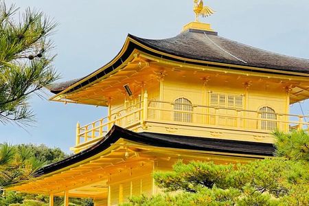 Kyoto Day Tour from Osaka in English 