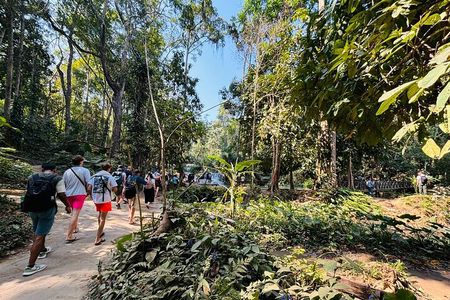 Day Trek to Kuangsi Waterfall and Bear Sanctuary - Luang Prabang full day tour