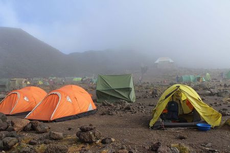 7 Days Lemosho Route Multiday Tour