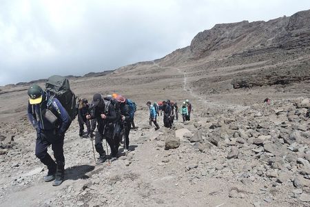 Lemosho Route Private 8 Day Kilimanjaro Minivan Tour