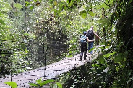 Mindo Cloud Forest Private Day Tour