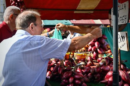 Culinary Journey of Langhe Chef's Market Tour and Cooking Class