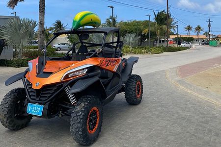Action-Packed Half Day Aruba UTV Tour and Cave Pool