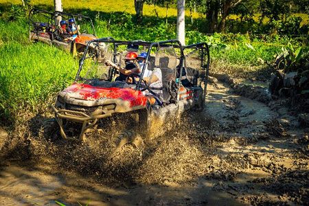 Jungle Buggies and Monkeyland from Punta Cana
