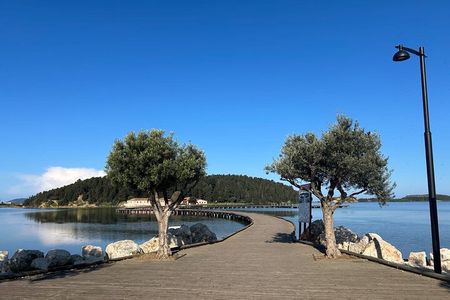 From Vlora : Apollonia Zvernec and Berat Day Trip Experience