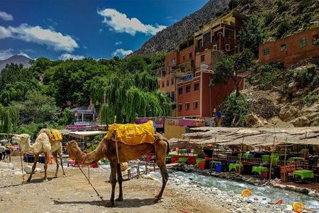 Best Private Exclusive Atlas Mountains Day Adventure