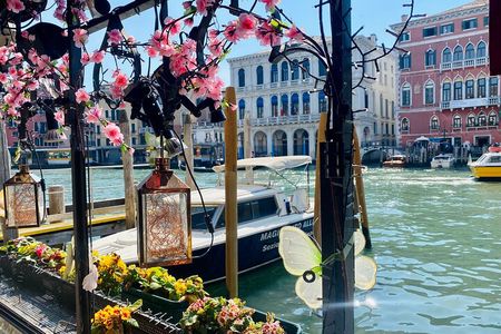 2.5 Hour Street Food Tour of Venice