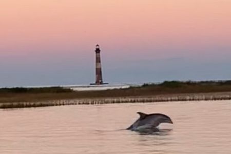 Folly River Morris Island Dolphin and Exploration Adventure 