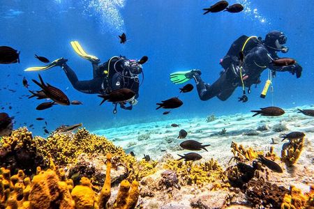 PADI Discover Scuba Diving for Beginners at Ouranoupoli|Chalkidiki|Greece