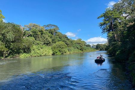 Tropical Wonders Sloths and River Serenity