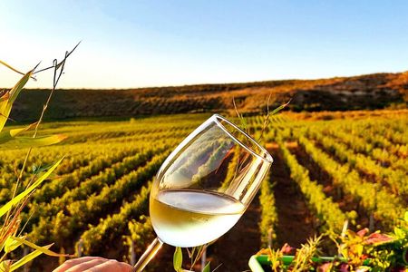 Durrës Countryside Vineyard Experience with Wine & Food Pairing