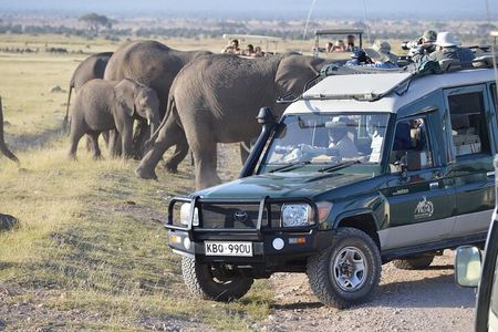 3- Day Exploring Giants and Golden Sunsets in Amboseli