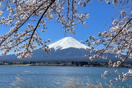 Mt Fuji Private Sightseeing Tour from Tokyo