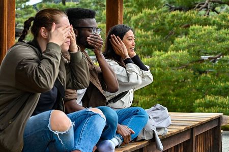 Cruise Stop-Over: Private Custom Day trip to Kyoto from Kobe Port