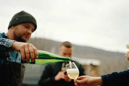 Mosel Organic Wine Tasting and Cellar Tour in Reil