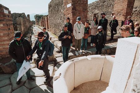 Pompeii and Herculaneum Small Group Excursion from Sorrento