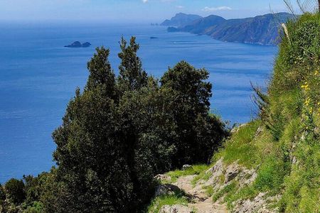 Path of the Gods: Guided Trekking on the Amalfi Coast
