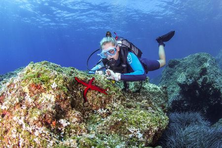 Scuba Diving in Chania for Beginners –2 Dives, No License Needed 