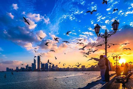 Abu Dhabi Full Day City Tour with English Speaking Guide