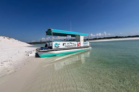 Dolphin & Sightseeing Cruise + Beach Stop + Snorkel + Equipment