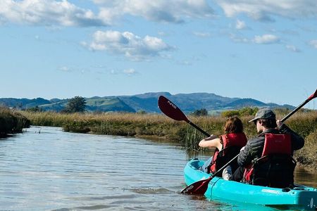Water To Vine! Kayak Tour Explores Luxury of Nature @ Napa Valley