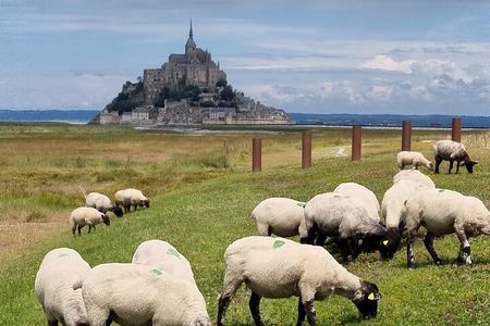 2 hour guided tour of Mont Saint Michel, abbey ticket included