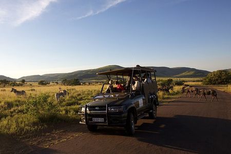 3 Day Luxury Pilanesberg Safari at Shepherd's Tree Game Lodge