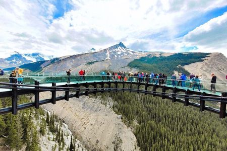 Columbia Icefield, Crowfoot Glacier and Bow ,Peyto Lake Tour