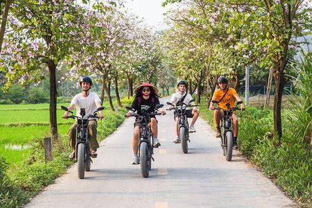 Ninh Binh E-Bike Tour - Ninh Binh's Highlights