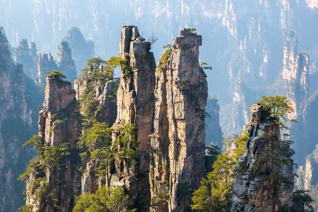 Private 1 Day Tour Zhangjiajie National Forest Park