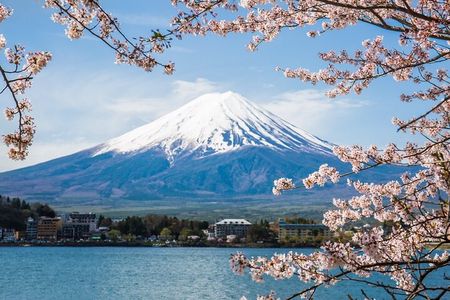 Day Trip To Mount Fuji and Hakone from Tokyo with English Guide 