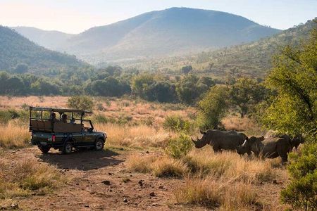 2 Days Pilanesberg Safari at Bakubung Lodge