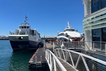 Pre-Booked Tickets for Cape Town Robben Island Tour