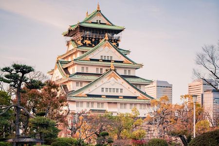 Osaka private car day trip with hotel pick up 