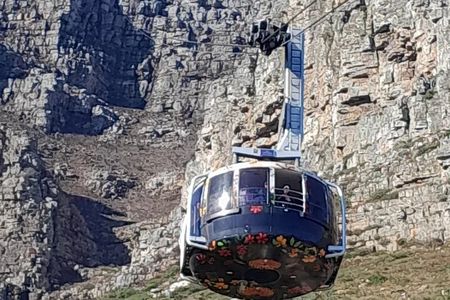 Robben Island, Table Mountain, Wine Tasting at Groot Constantia