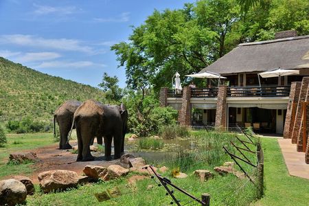 2 Day Pilanesberg Safari at Kwa Maritane Lodge