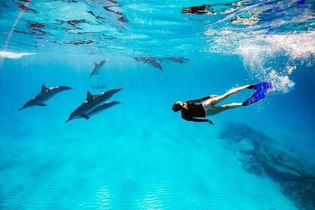 Snorkeling Adventure at Dolphin House Reef & Pickup – Marsa Alam
