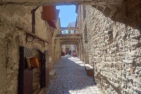 Old Tallinn Highlights & its Medieval Past Private tour