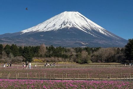 Mount Fuji and Hakone Private Tour with English Speaking Guide 