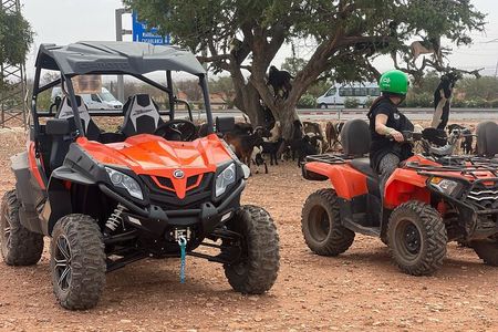 Agadir/Taghazout: Buggy, Goats in Argan Trees & Moroccan Tea