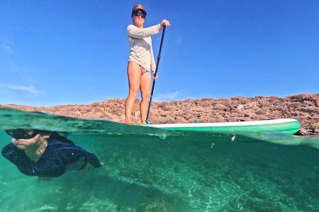 Coronado Island tour and swim with the sea lions
