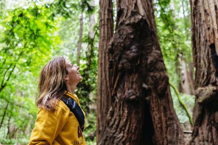Muir Woods & Sausalito (Return by Bus or Ferry)