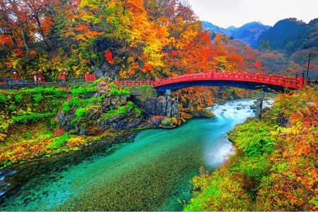 Nikko Full Day Private Tour with English Speaking Driver