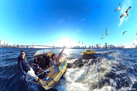 Tokyo: Guided Bay Cruise with Seagull Feeding or Sunset view